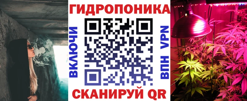 Конопля семена Купить Серов